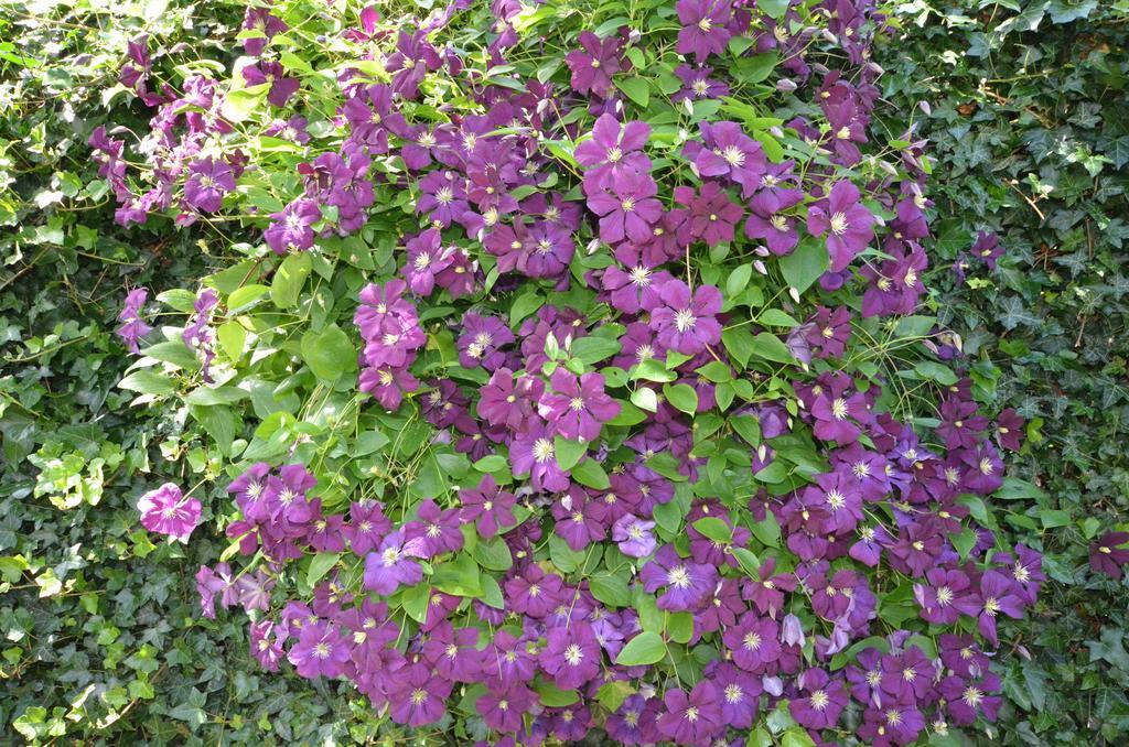 Bloemenhoeve Bed & Breakfast Birdaard ภายนอก รูปภาพ