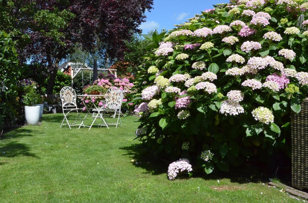 Bloemenhoeve Bed & Breakfast Birdaard ภายนอก รูปภาพ